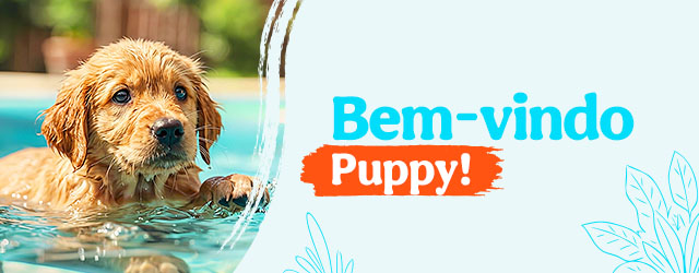 Bem-vindo Puppy