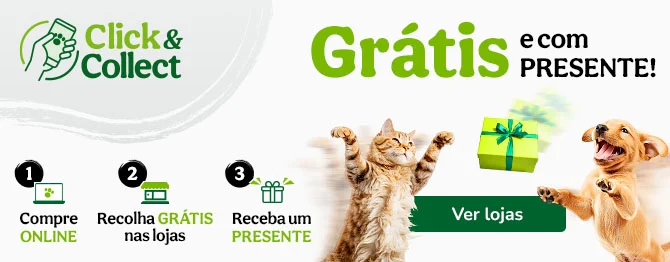 Grátis e com presente