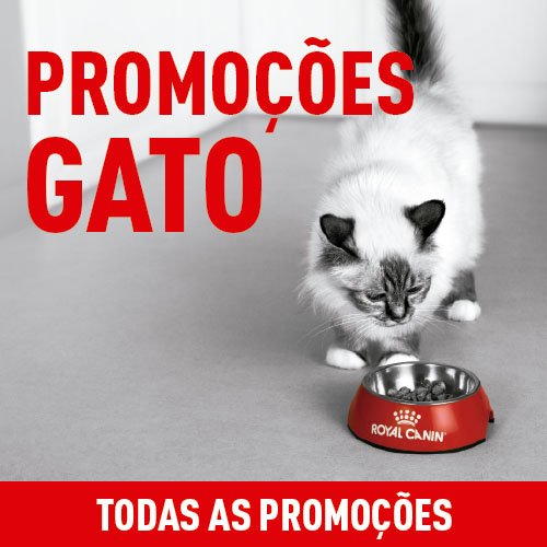 Promoções para gatos.