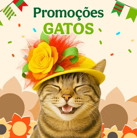Promoções  para Gato