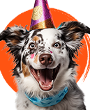 Cães