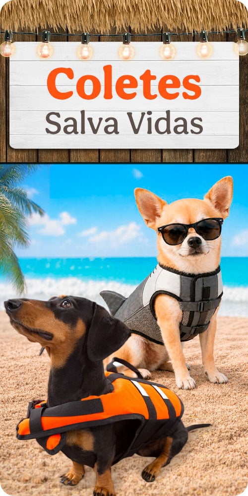 Chalecos Salvavidas