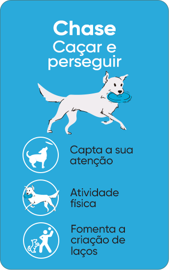 Chase - Brinquedos para cães para caçar e perseguir. Ativa a atenção e a atividade física