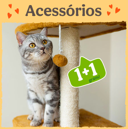 Pechinchanimal: 1+1 grátis em acessórios e higiene para o seu gato.