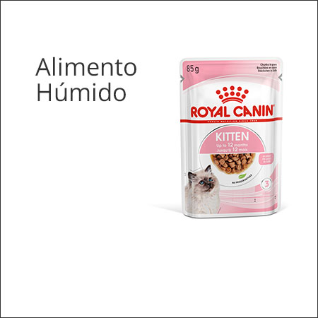 Royal Canin gatinho saqueta de alimentação húmida em gelatina