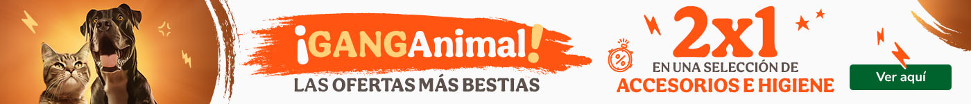 Pechinchanimal: 1+1 grátis em acessórios e higiene para o seu patudo.