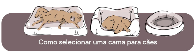 Como selecionar uma melhor cama canina