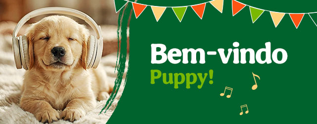 Os produtos essenciais para receber em casa o novo cachorro