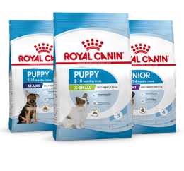 Royal Canin Cachorro