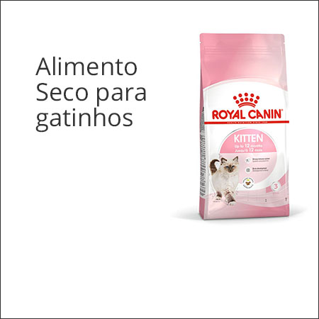 Ração para gatinhos