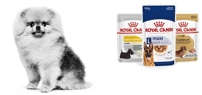 Comida húmeda Royal Canin Cão