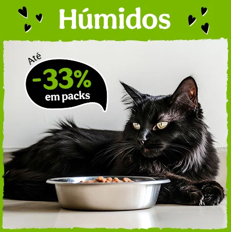 33% de desconto em packs de comida húmida para gatos.