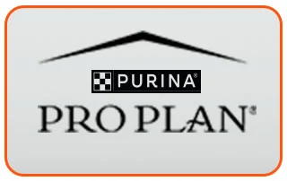 Pro Plan 20% desconto
