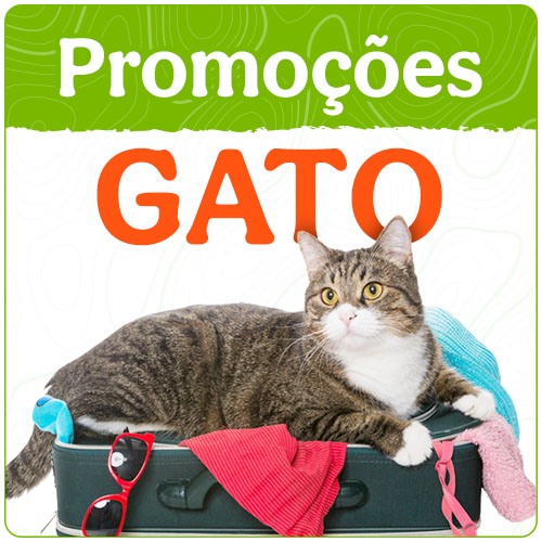 Promoções gato