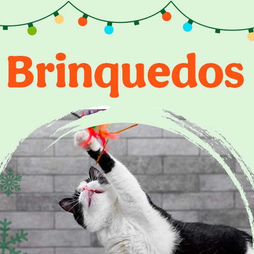 Promoções em Brinquedos