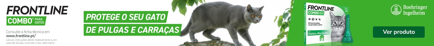 Frontline: Pipetas antiparasitárias para gatos.