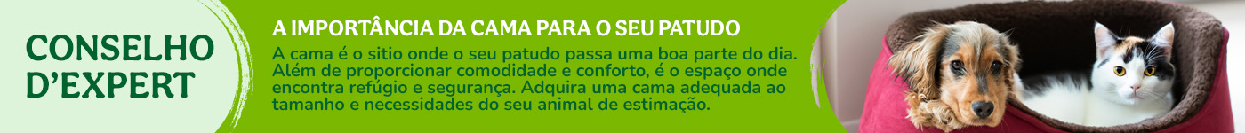 Dicas para escolher uma cama para o seu animal de estimação