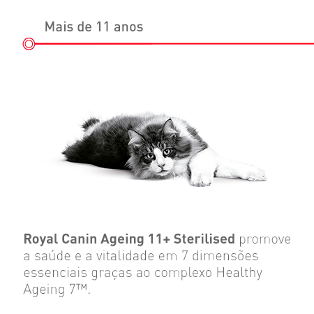 Gato esterilizado, Idade avançada: Mais de 11 anos