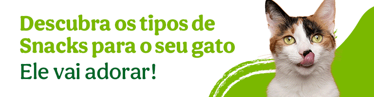 Os melhores snacks para o seu gato