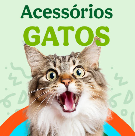 Mega descontos em acessórios para gato.