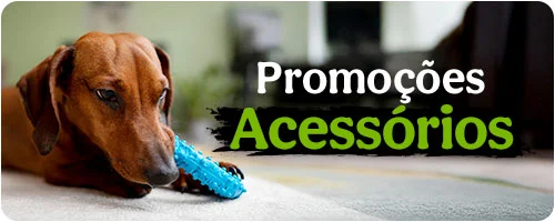 Promoções em Acessórios