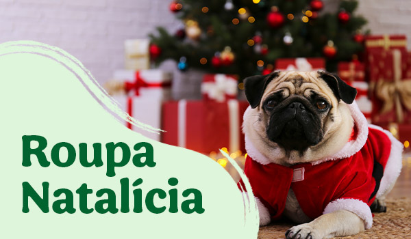 Roupa de Natal