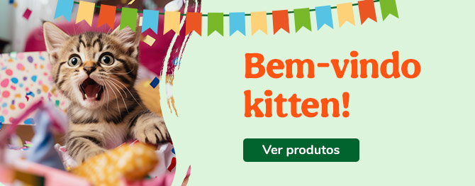 Bem-vindos gatinhos