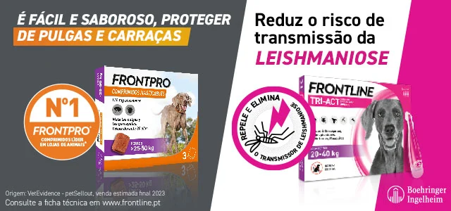 Frontpo