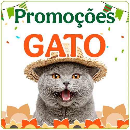 Promoções para gato