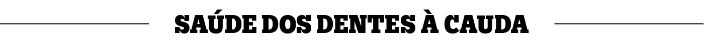 Saúde dos dentes à cauda