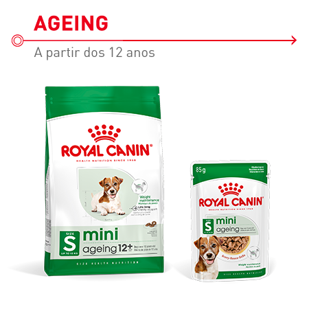 Royal Canin Mini Ageing 12+. Ração e alimento húmido para cães seniores de raças pequenas com mais de 12 anos.