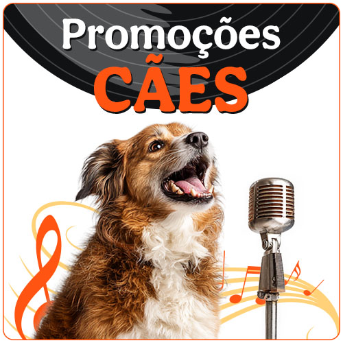 Promoções para cães.