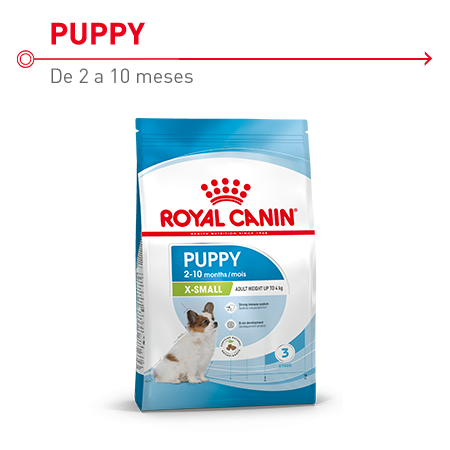 Royal Canin X-Small Puppy, ração indicada para cachorros de raças mini até aos 10 meses de idade.
