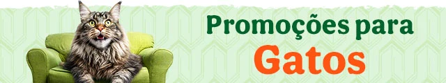 Todas as promoções gato
