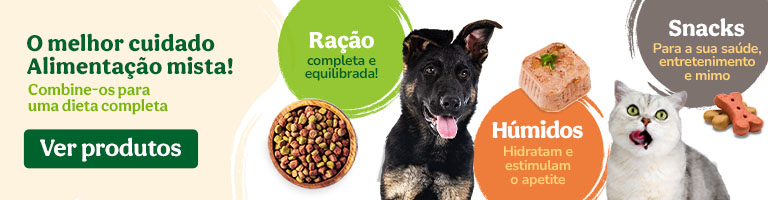 Mime o seu patudo com a melhor comida húmida e snacks deliciosos!