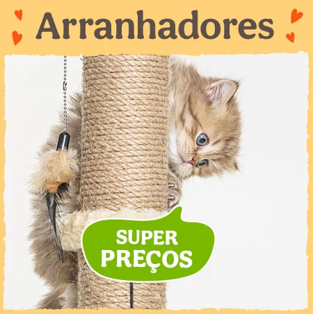 Arranhadores para gatos com super preços.