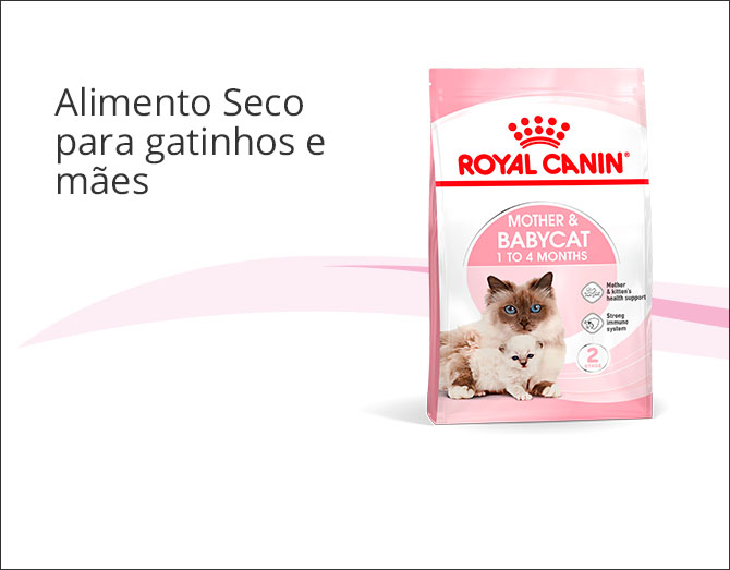 Ração para gatinhos e mães
