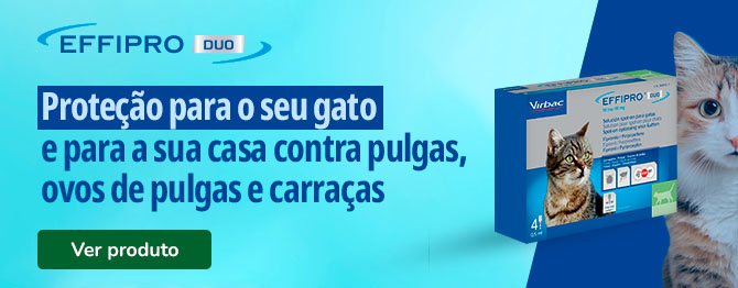 Pipetas antiparasitárias Virbac Effipro Duo para gatos: proteção eficaz contra pulgas e carraças.