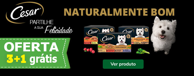 Super Oferta: 3+1 GRÁTIS em comida húmda Cesar para cães!