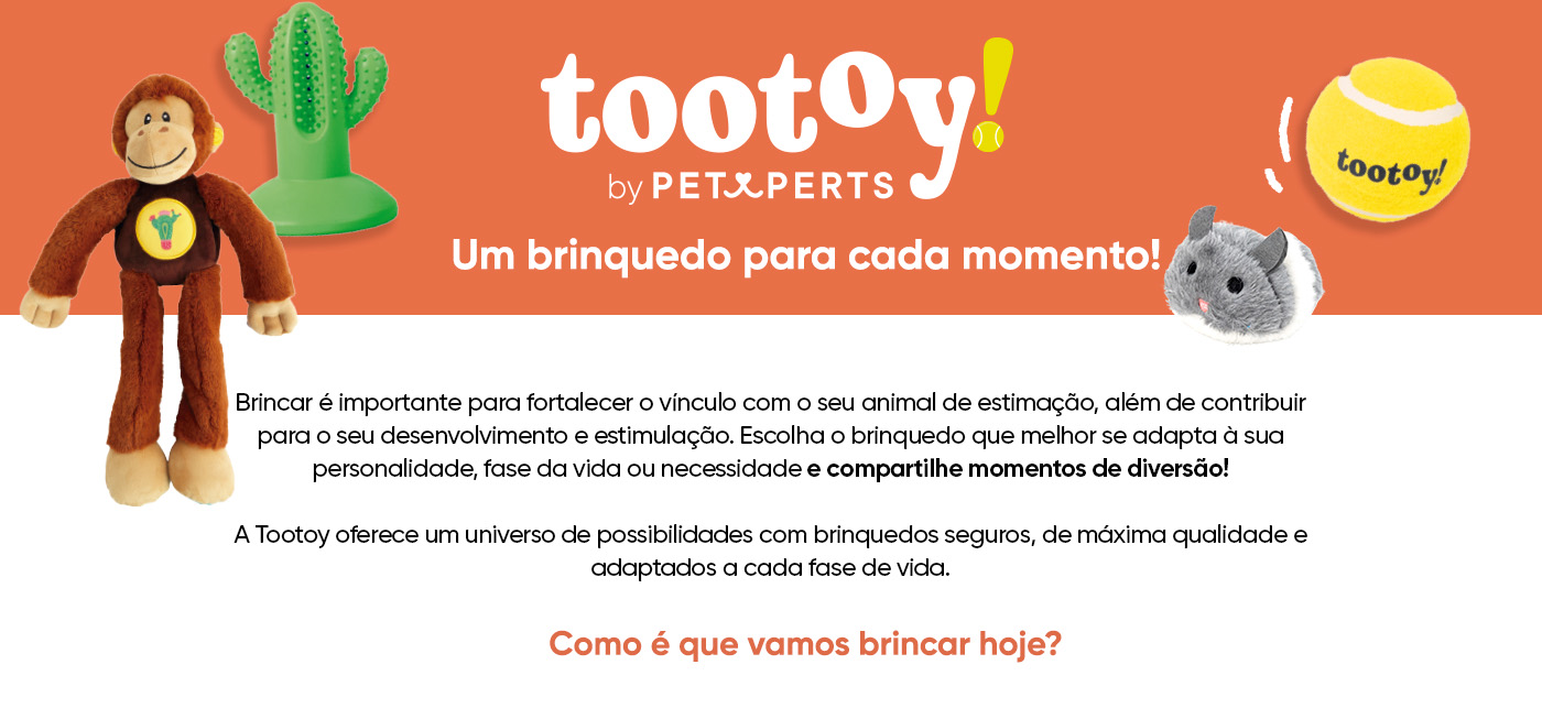 Tootoy: Um brinquedo para cada momento!