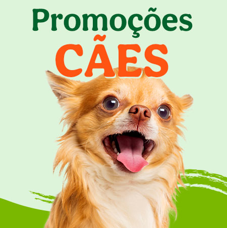 Promoçoes cães
