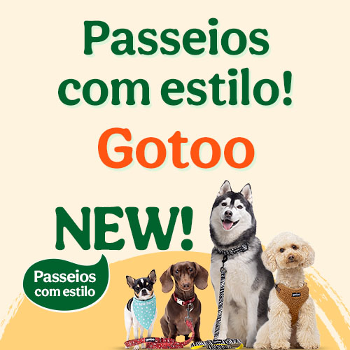 Passeios com estilo Gotoo