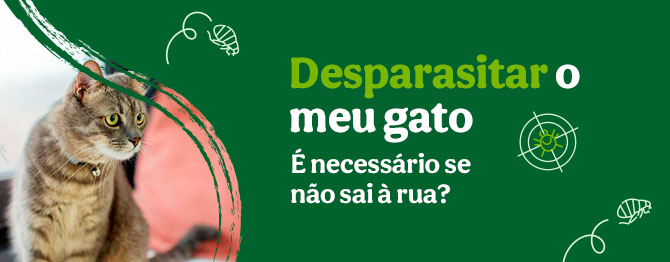 É necessário desparasitar os gatos se não saem à rua?