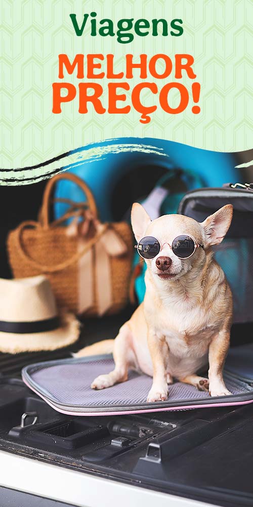 Acessórios de viagem com mega descontos.