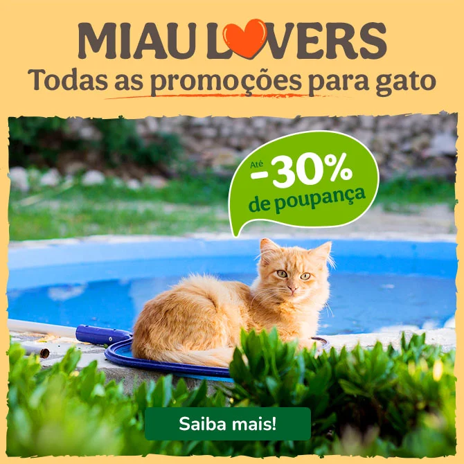 Miau Lovers: Todas as promoções para gato