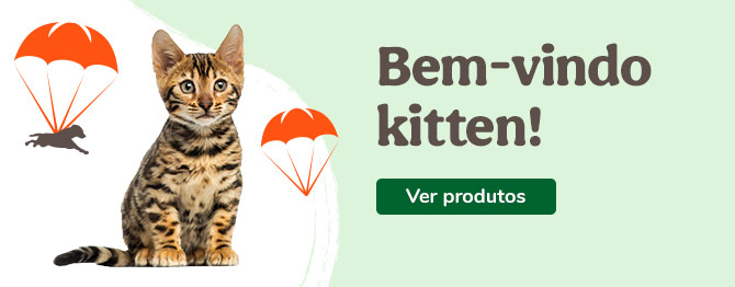 Bem-vindos gatinhos