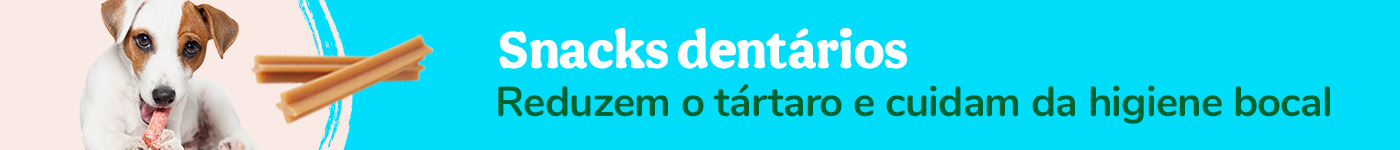 Snacks dentários - a melhor forma de cuidar os seus dentes