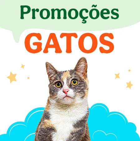 Promoções para Gatos