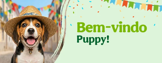 Os produtos essenciais para receber em casa o novo cachorro