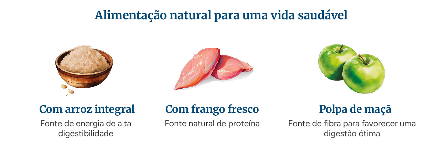 Alimentação com ingredientes naturais.